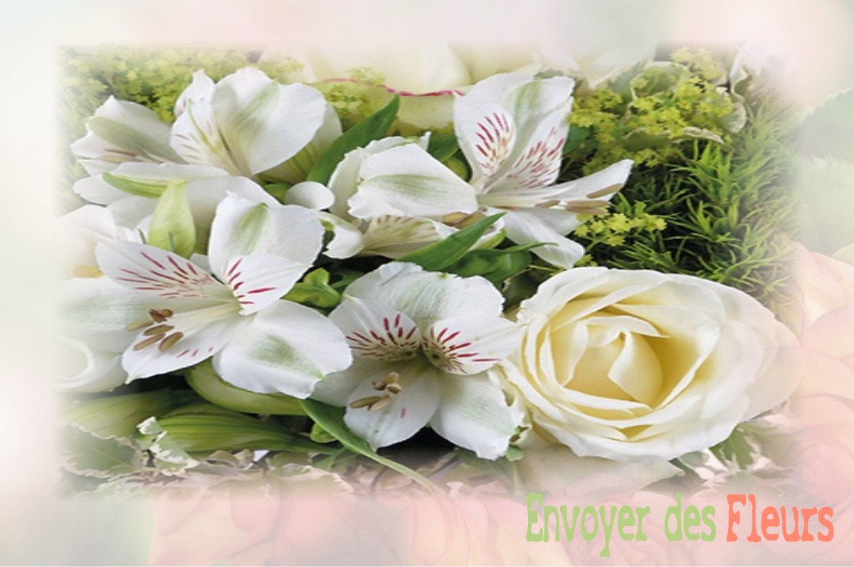 envoyer des fleurs à à SAINT-VINCENT-DE-BARBEYRARGUES